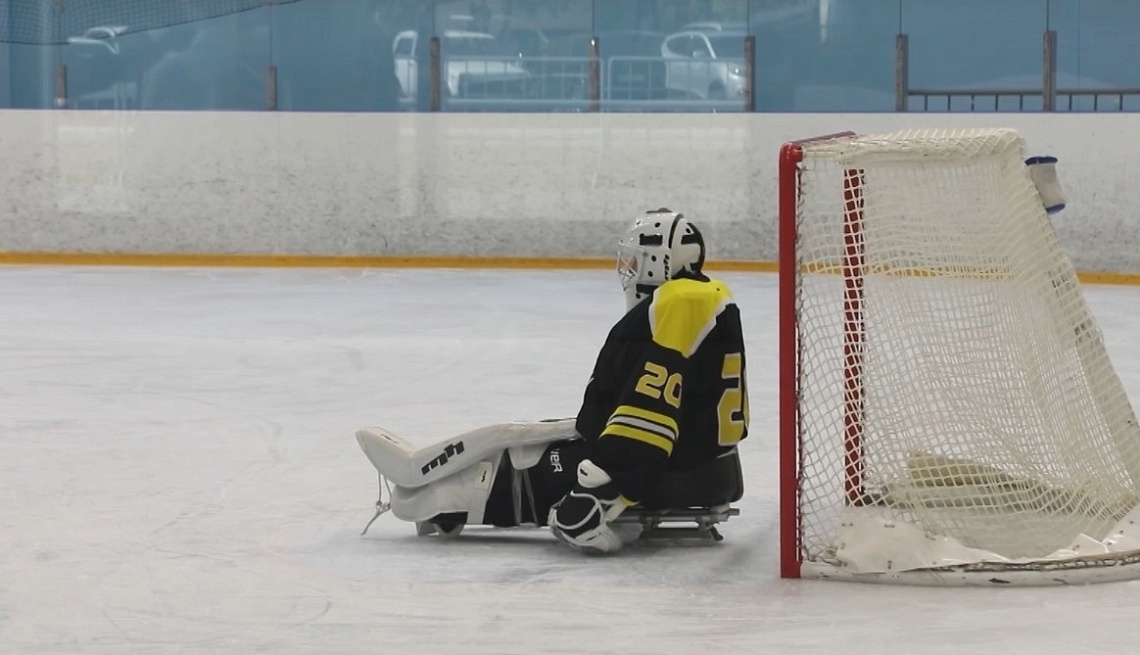 Полномочный представитель президента в ПФО Игорь Комаров оценил успехи пензенской команды по следж-хоккею